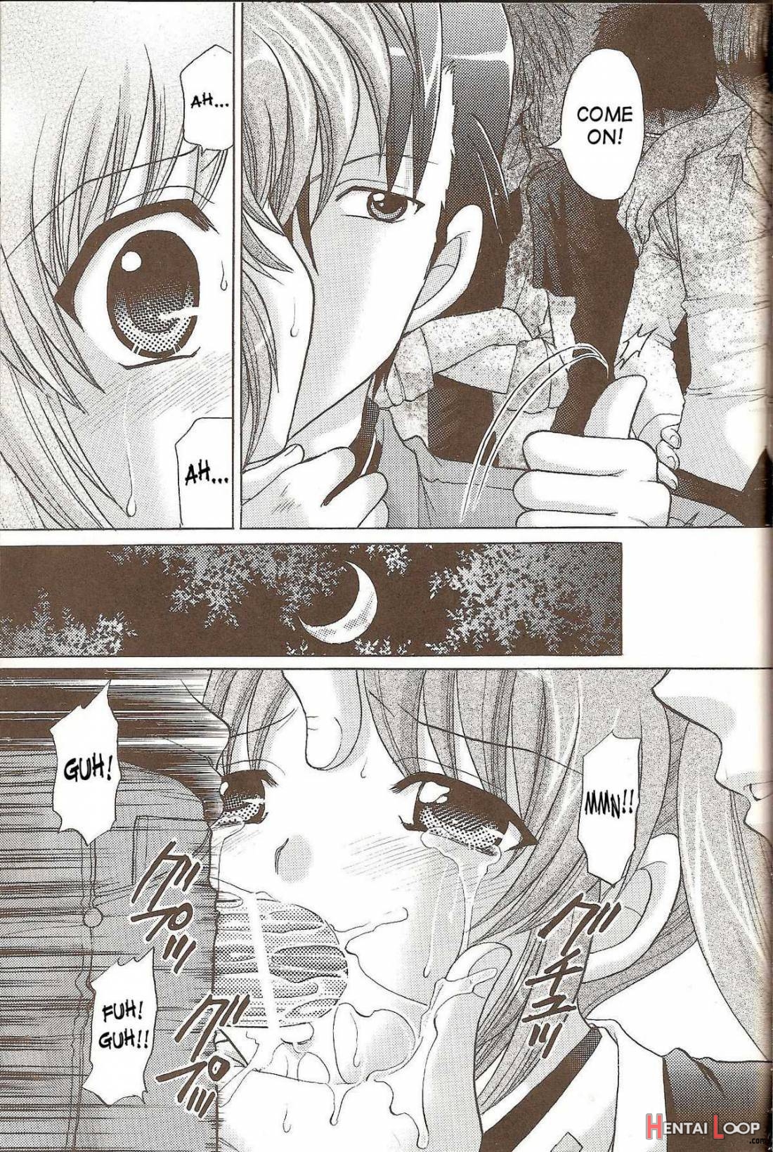 Nanoha No Zettai Zetsumei S+ page 8