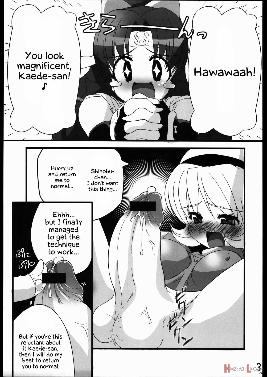 Ninpou Ranchiki Sawagi! page 4