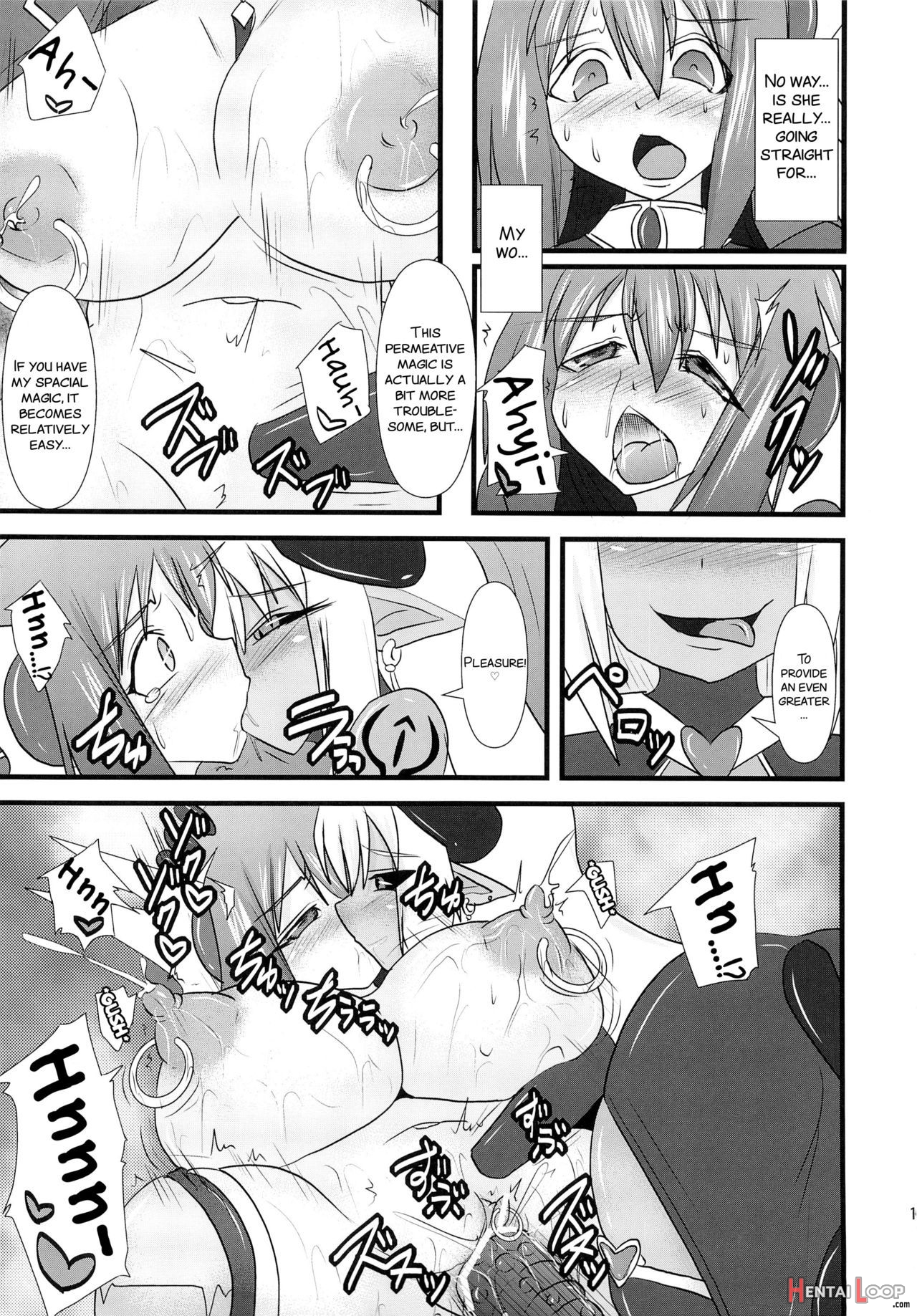 Shield Knight Elsain Vol. 13 "succubus Flirtation" page 17