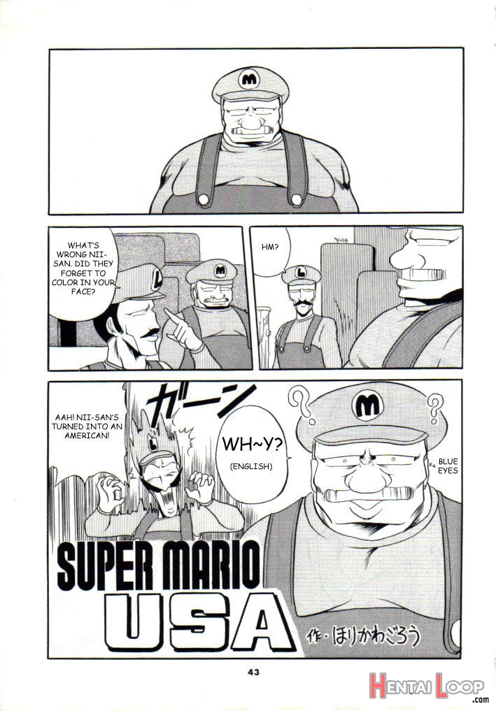 Super Mario Collection page 40