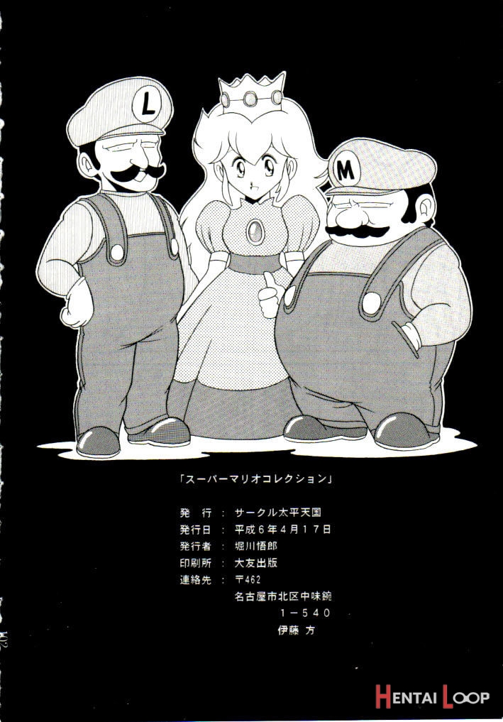 Super Mario Collection page 98