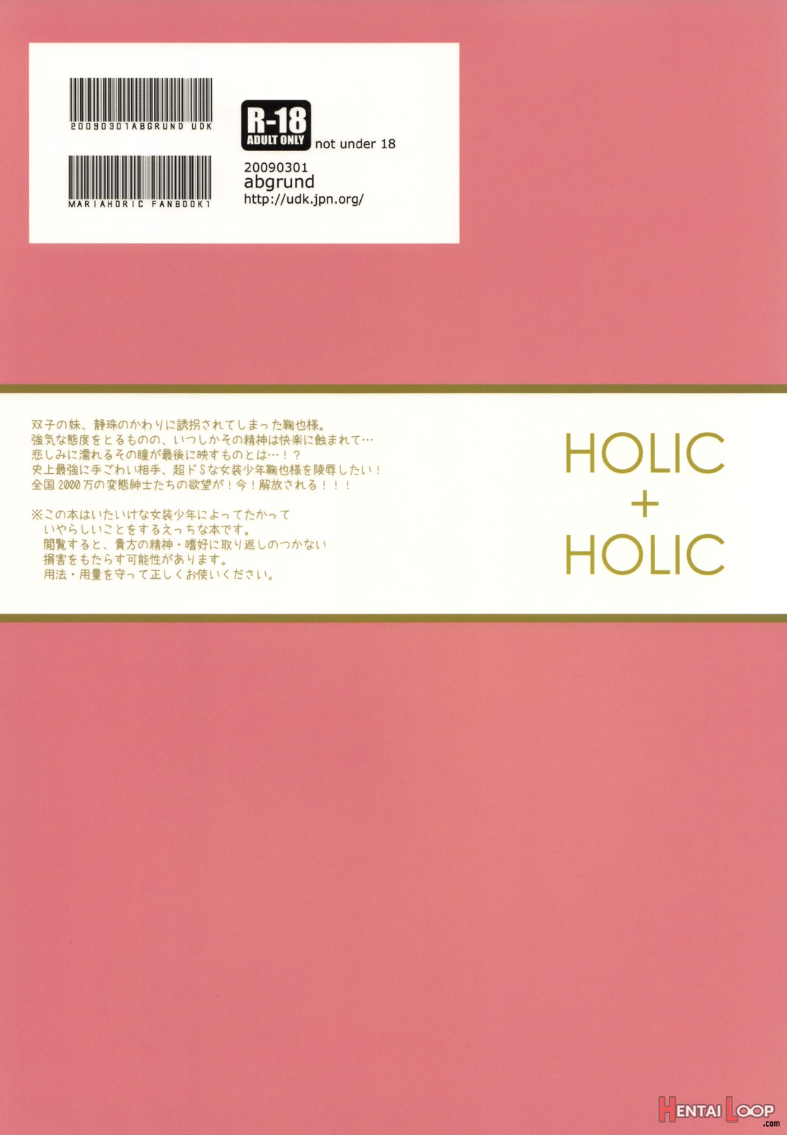 Holic + Holic 1 Side M page 41