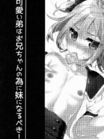 Kawaii Otouto Wa Onii-chan No Tame Ni Imouto Ni Narubeki! page 2