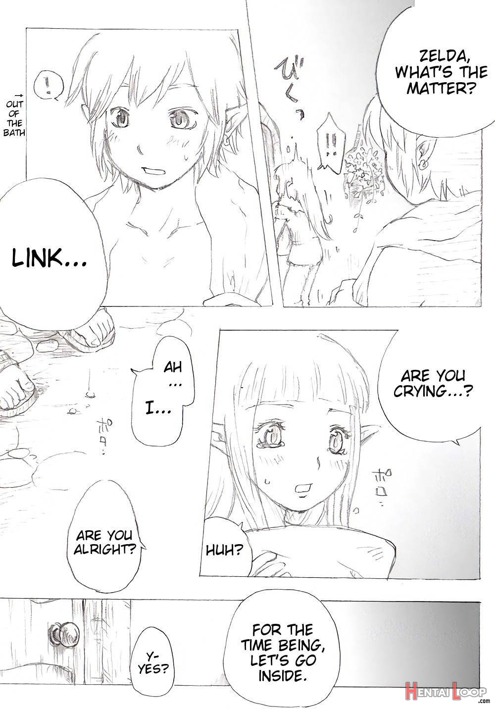 Link To Zelda No… page 5