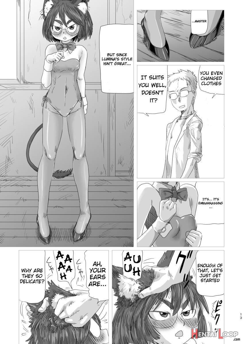 Lumichro 2 page 12