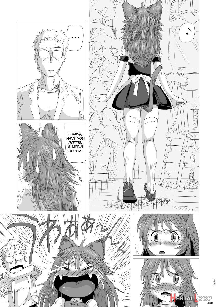 Lumichro 2 page 22