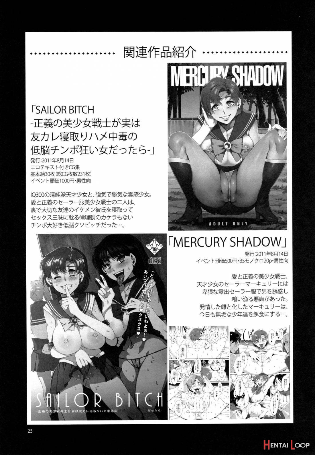 Mercury Shadow 2 page 23