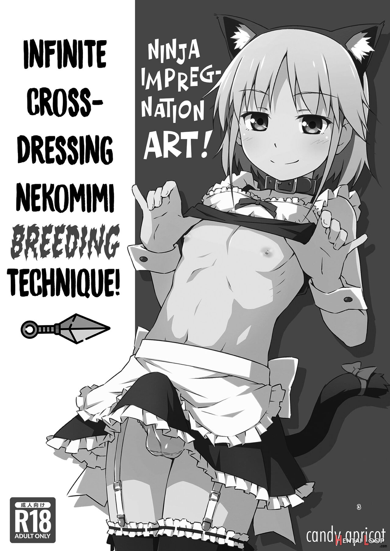 Ninja Impregnation Art: Infinite Crossdressing Nekomimi Breeding Technique! page 2