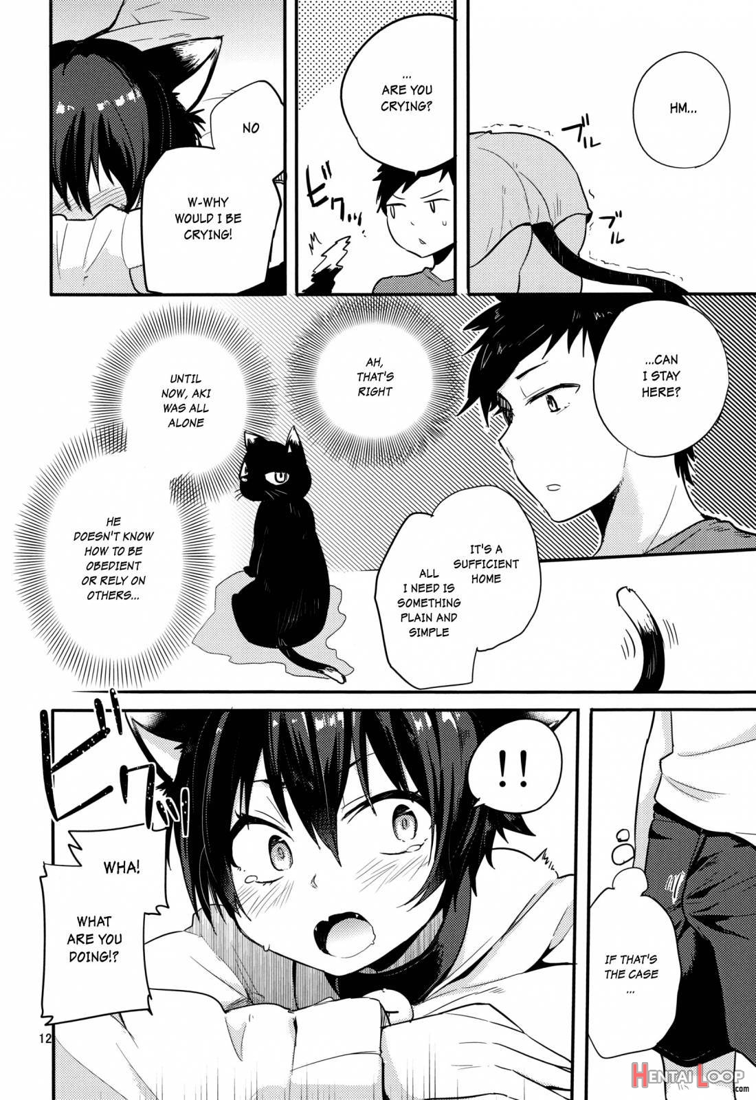 Nora Neko To Hakuchuumu page 11