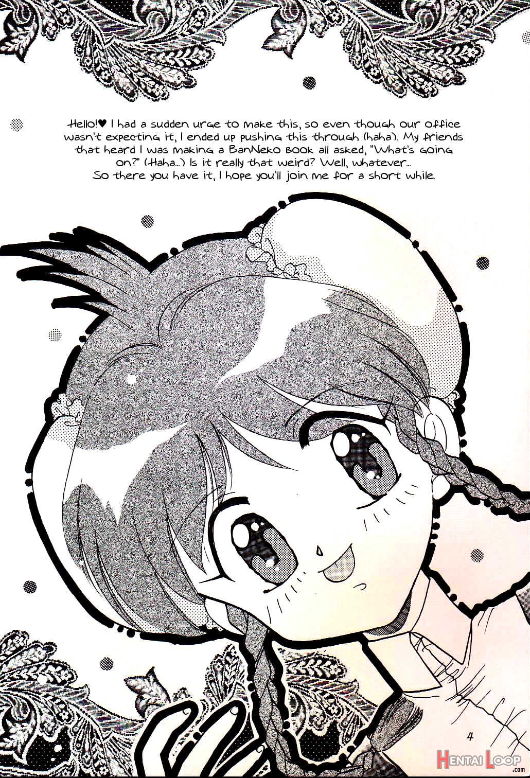 Yasashii Hito No Soba Ga Suki Bannou Bunga Neko Musume page 4