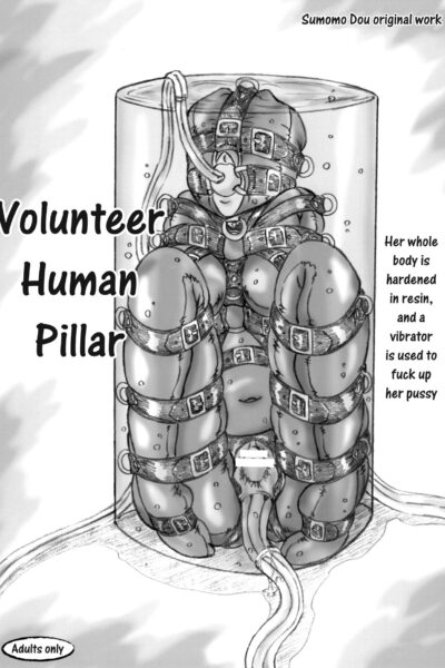 Volunteer Human Pillar page 1