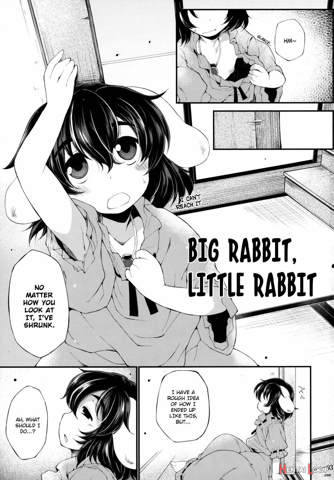 Ookina Usagi Chiisana Usagi page 2