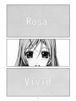 Rv - Rosa Viva page 2