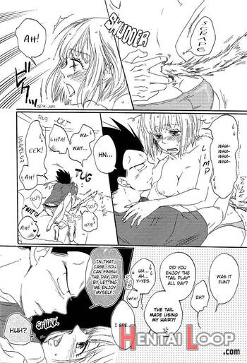 Shippo, Nohohon. page 27