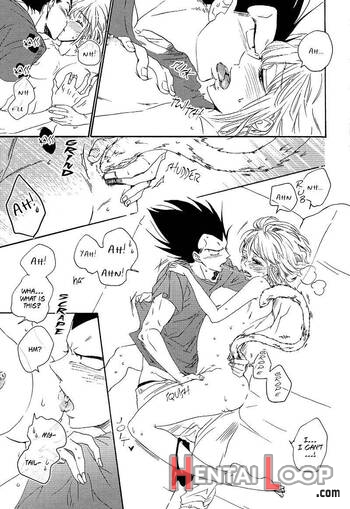 Shippo, Nohohon. page 28