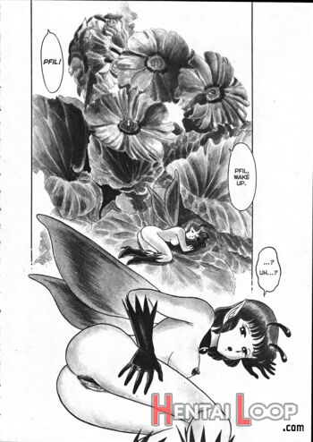 The New Bondage Fairies - Fairie Fetish 05 page 2