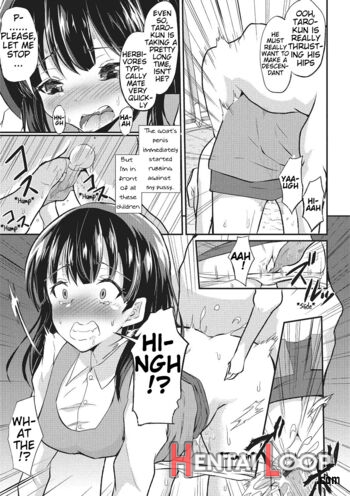 Wakuwaku Fureai Doubutsuen! page 5