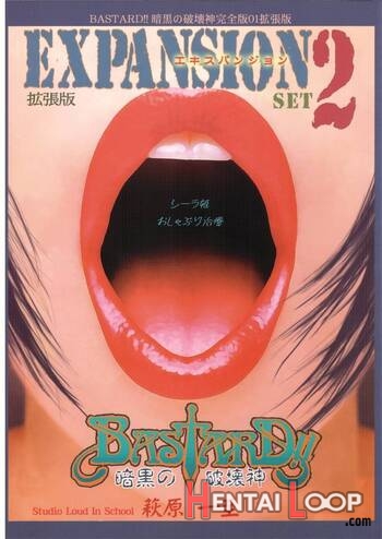 Bastard!! -ankoku No Hakaishin- Kanzenban 01 Expansion <kakuchouban> Sheila Hime Oshaburi Chiryou page 1