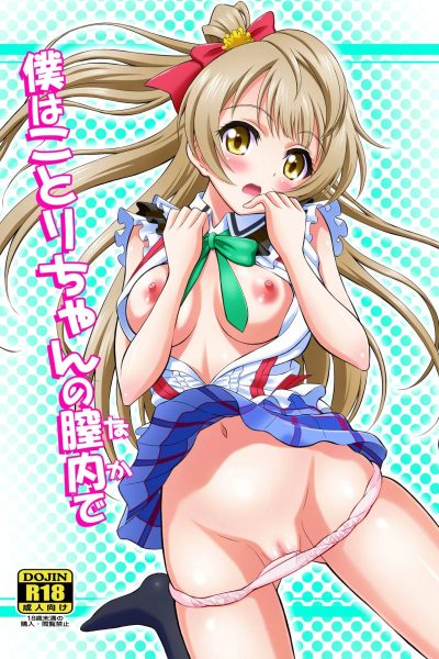 Boku Wa Kotori-chan No Naka De page 1