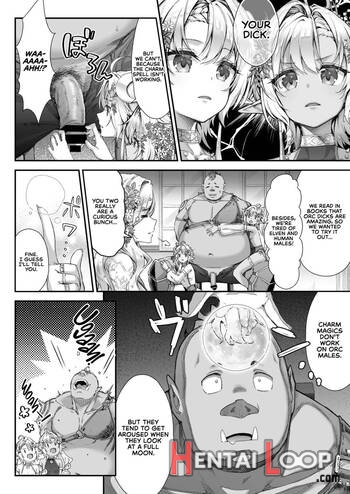 Oideyo! Midara Na Elf No Mori page 5