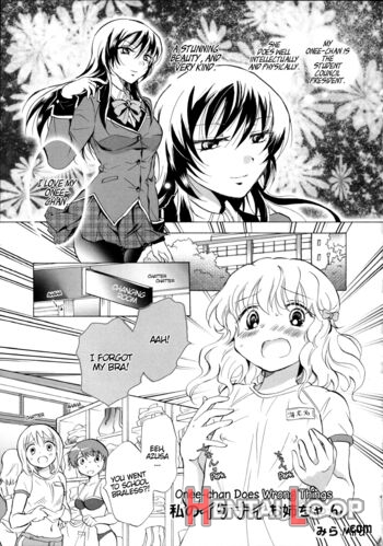 Watashi No Ikenai Onee-chan page 1